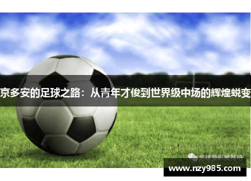 京多安的足球之路：从青年才俊到世界级中场的辉煌蜕变
